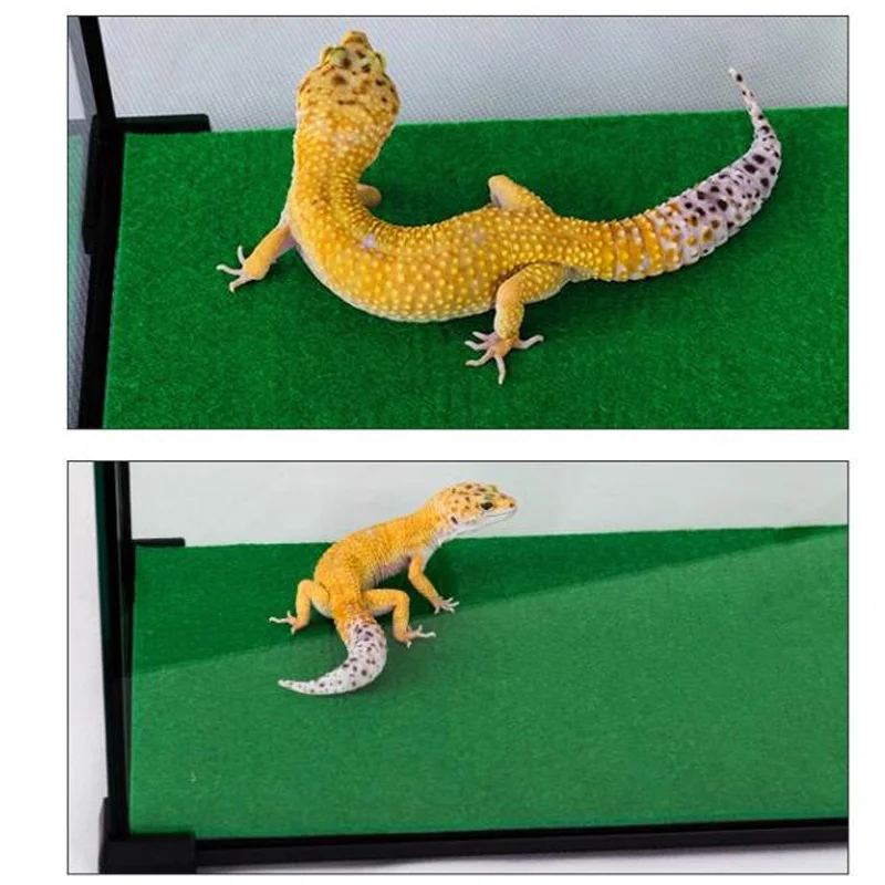 Reptielen tapijt kokosvezel, 3 rollen natuurlijk reptielentapijt terrarium voering beddengoed reptielen substraat mat benodigdheden voor bebaarde
