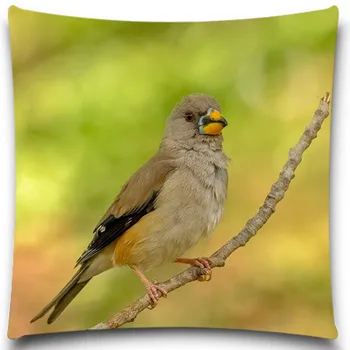 

Animals Bird Series Cotton polyester Home Decorative Throw Pillow Case Decorate Sofa Chair Car kids gift