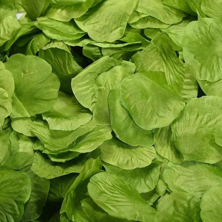 8880164436_1505201647