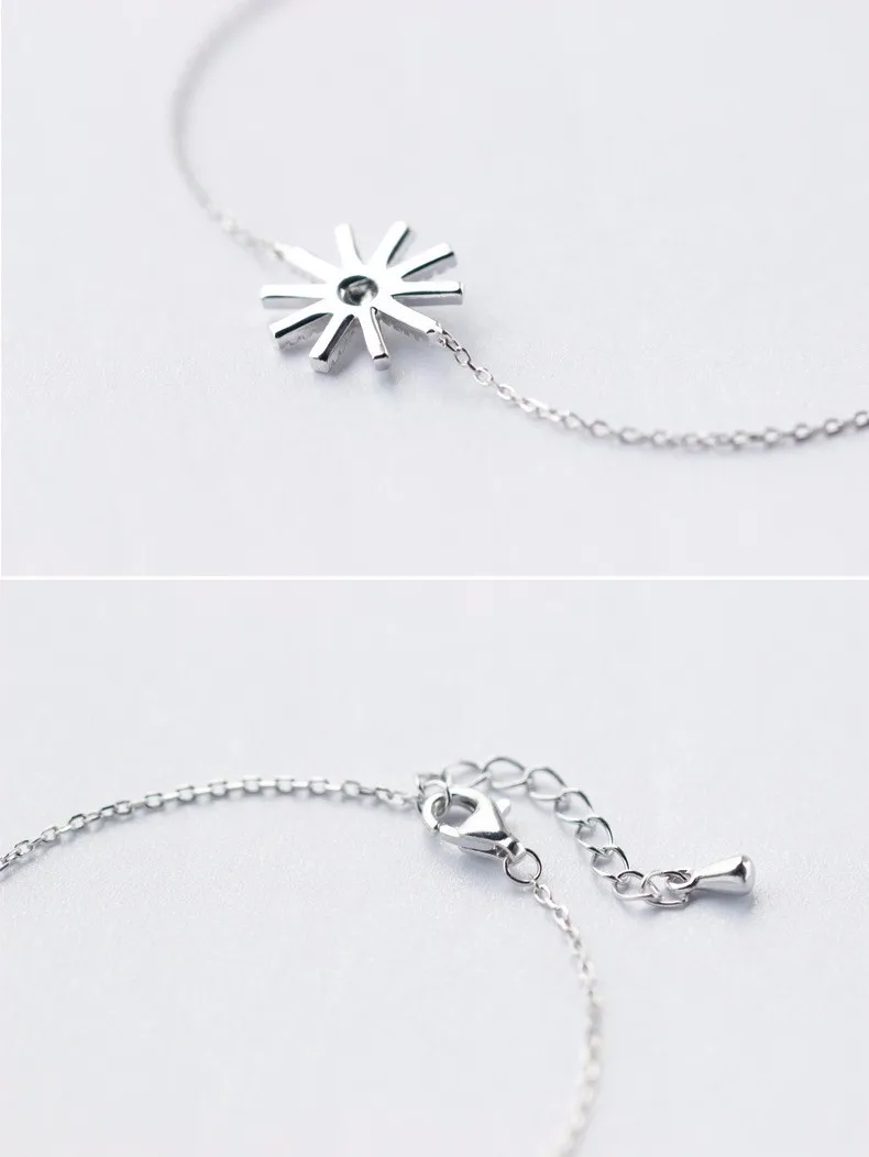 2938690880_334617663