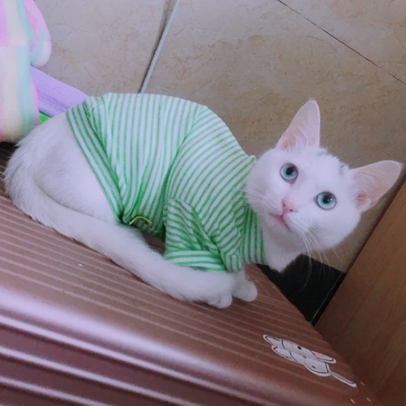 

Cotton Pet Cat Vest Summer Cat Clothing Clothes for Cats Clothing for Pets Kitten Shirt Katten kleding Kedi Giyim Ropa Para Gat