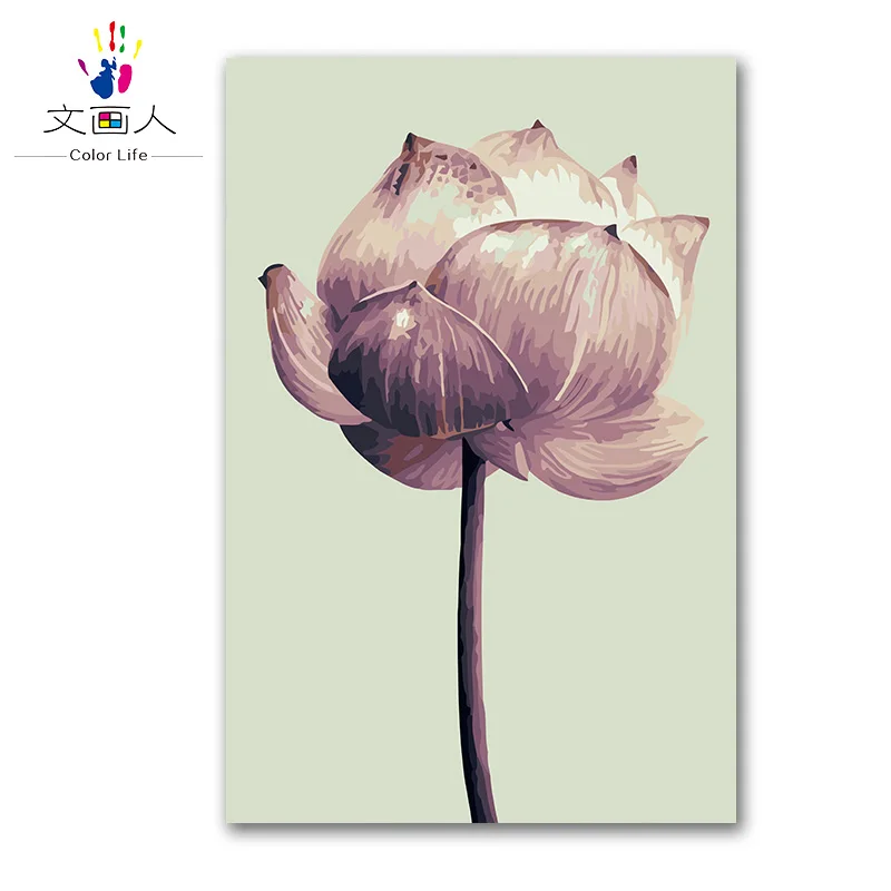 

DIY Paints by numbers plant flower lotus,Clean,noble modest picture painting coloring paint by numbers with colours for adults