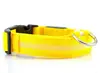 Collar-Yellow