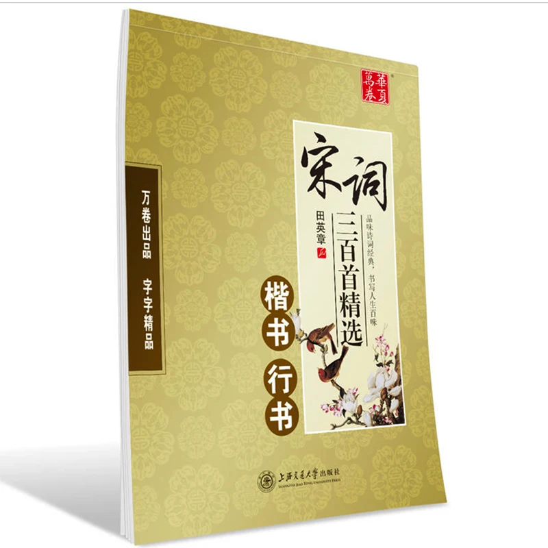 

Chinese Calligraphy Copybook for Pen Regular Script&Running Script Song Ci Chinese Characters Exercise Books by Tian Yingzhang