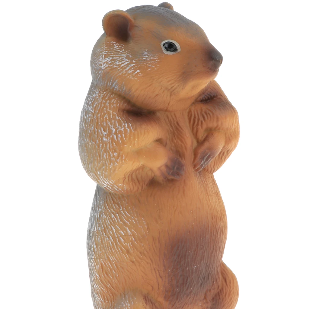 2pcs Simulation Wildlife Animal Model Figurine Kids Science & Nature Toy Collection Home Decoration Party Favors- Marmot