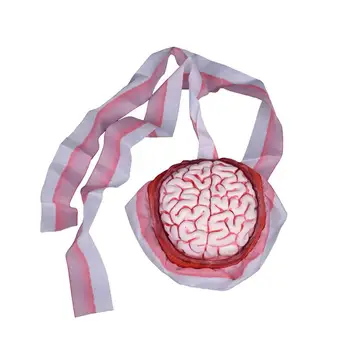 

1pc Halloween Toy Prank Tool Plastic Toy Artificial Blood Brain Cap for Party Festival