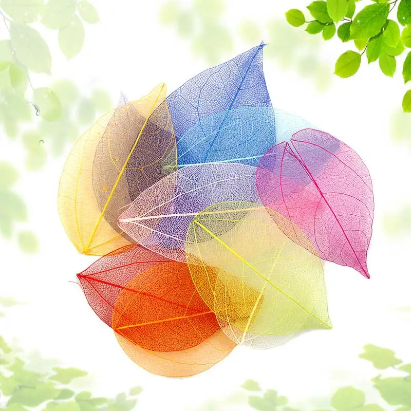 

Dried Flower Vein Net Leaf Multifunction Pressed Flower DIY Material Nice Gift Diamond Leaf Portable 100Pcs Bookmarks Home Decor