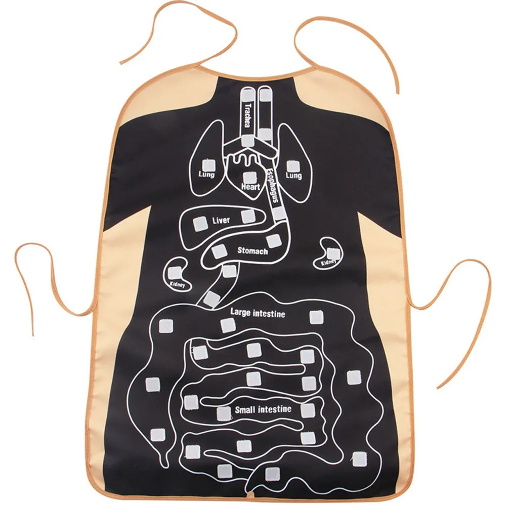  Baby Kid Human Internal Organs Early Education Teaching Equipment 3D Organ Apron Educational Toy Gi - 32994536140