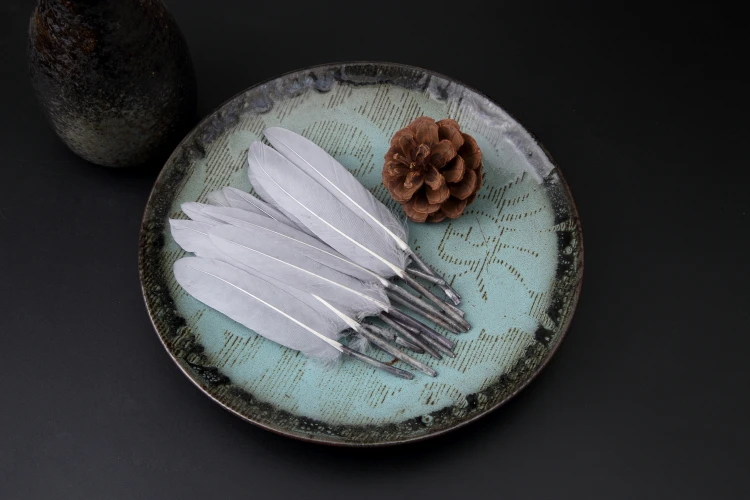 baby props for photography