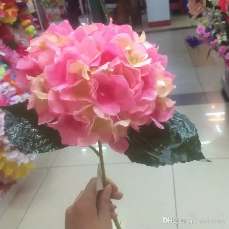 4_conew1