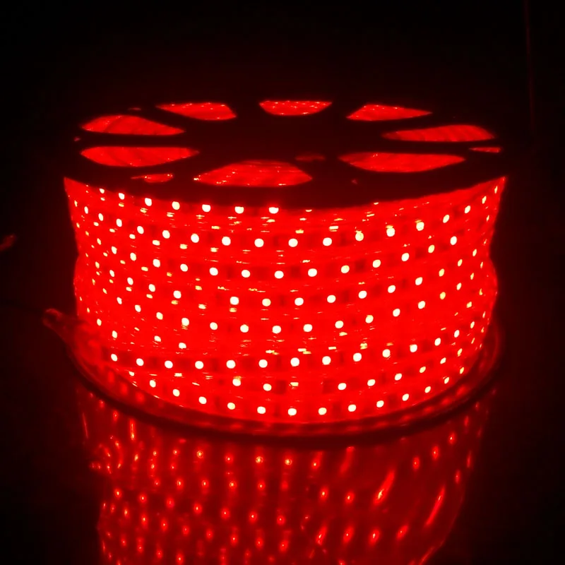 220v 5050 RGB