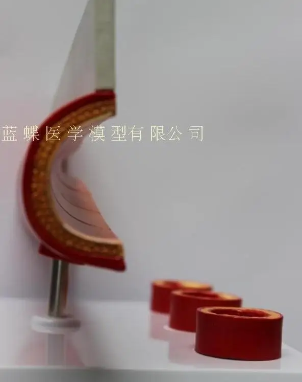 QQ20180812191337
