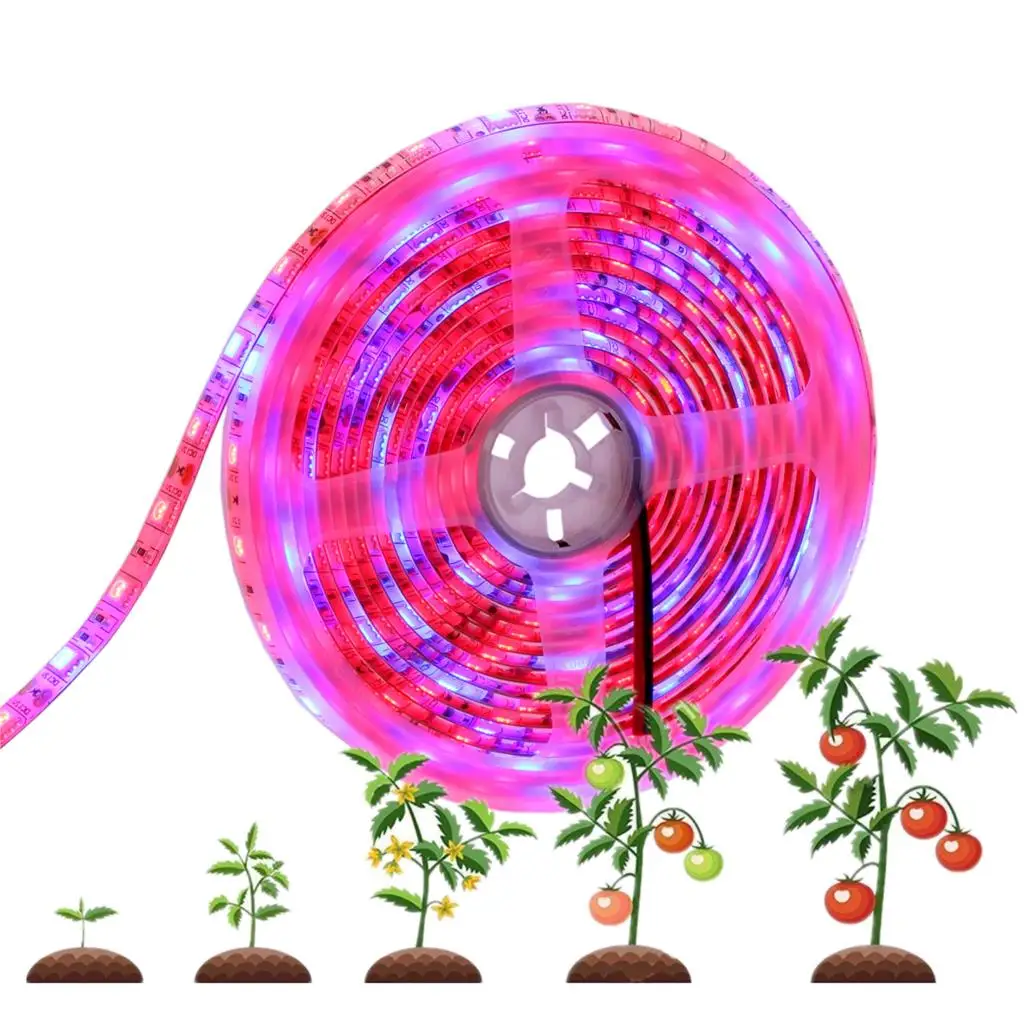 

5050 Led Strip For Plants Grow led grow light phyto lamp for plants phytolamp for seedlings phyto lamp for plants Growing Growth