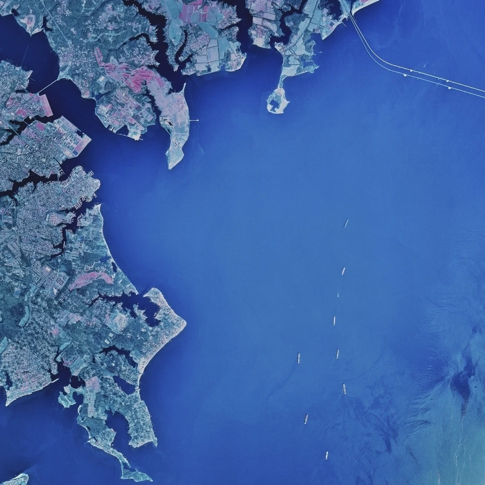 Satellite view of Chesapeake Bay and Annapolis  Maryland Poster Print (27 x 27)
