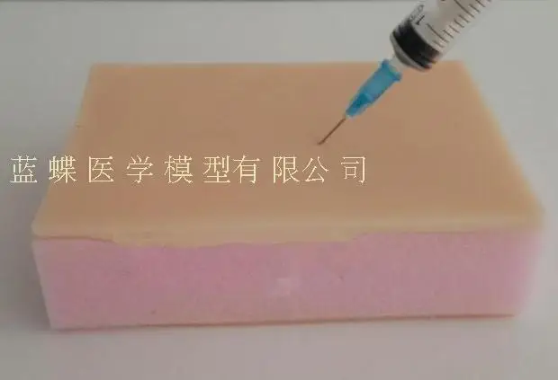 20190301_215146_058