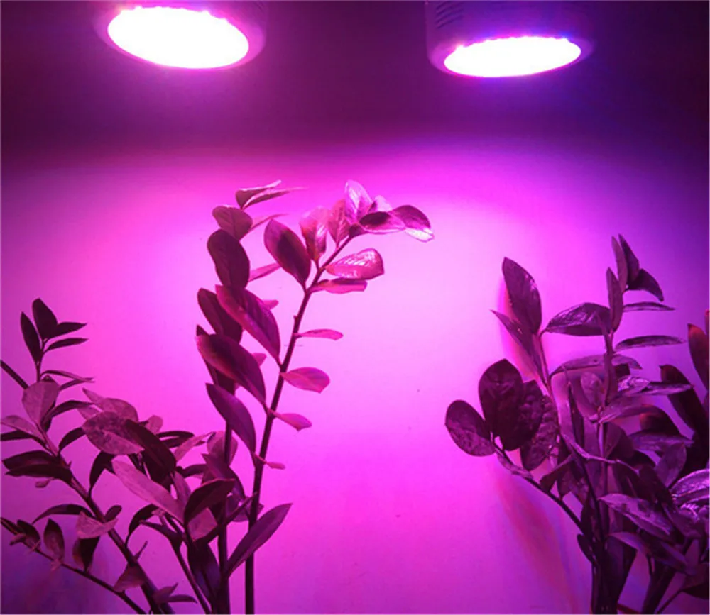 90 Вт 30 шт. LED красный и синий соотношение 8:1 светать для цветущих растений пятно света Гидропоника парниковых расти лампа экспресс