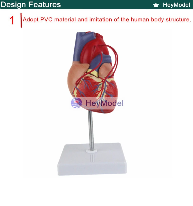 1.PVC_