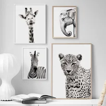 Черно Белое Животное Жираф Зебра Слон Wall Art Холст Картины Nordic Плакаты И Отпечатки Настенные