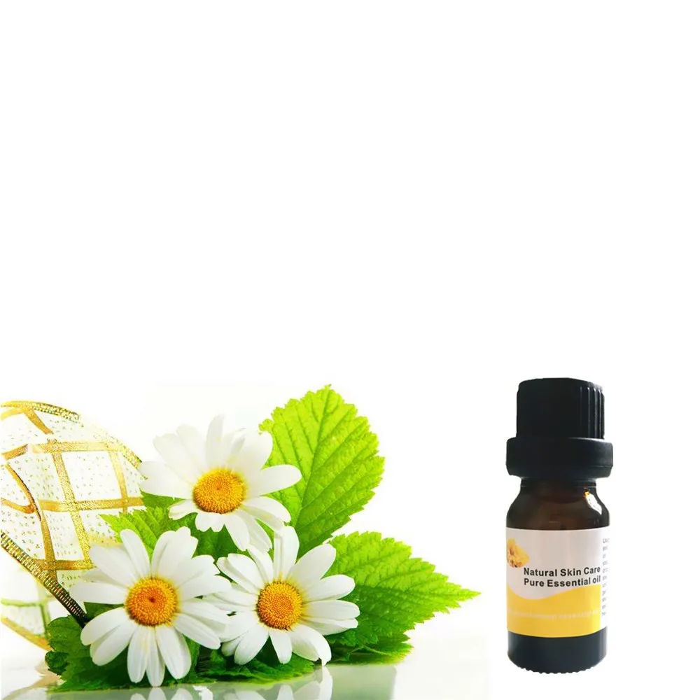 Potent Effect Slimming Firming Chrysanthemum essential oil for Lose