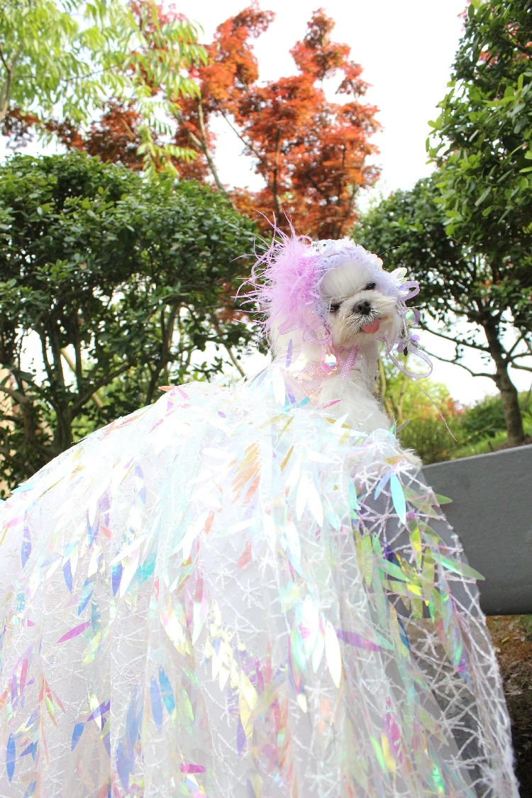Платье для собак, роскошное свадебное платье принцессы со шлейфом для маленьких собак, блестящая вышивка, одежда для щенков, кружевное платье для чихуахуа, Мопса