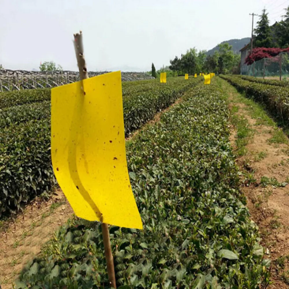 

25x30cm Powerful Sticky Board Greenhouse Is Orchard Garden Courtyard For Pest Control Product Specification Garden Accessories