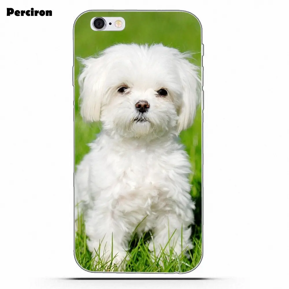 Perciron мягкий чехол для Huawei P7 P8 P9 P10 P20 P30 Lite Mini Plus Pro Мальтийская болонка - Цвет: as picture