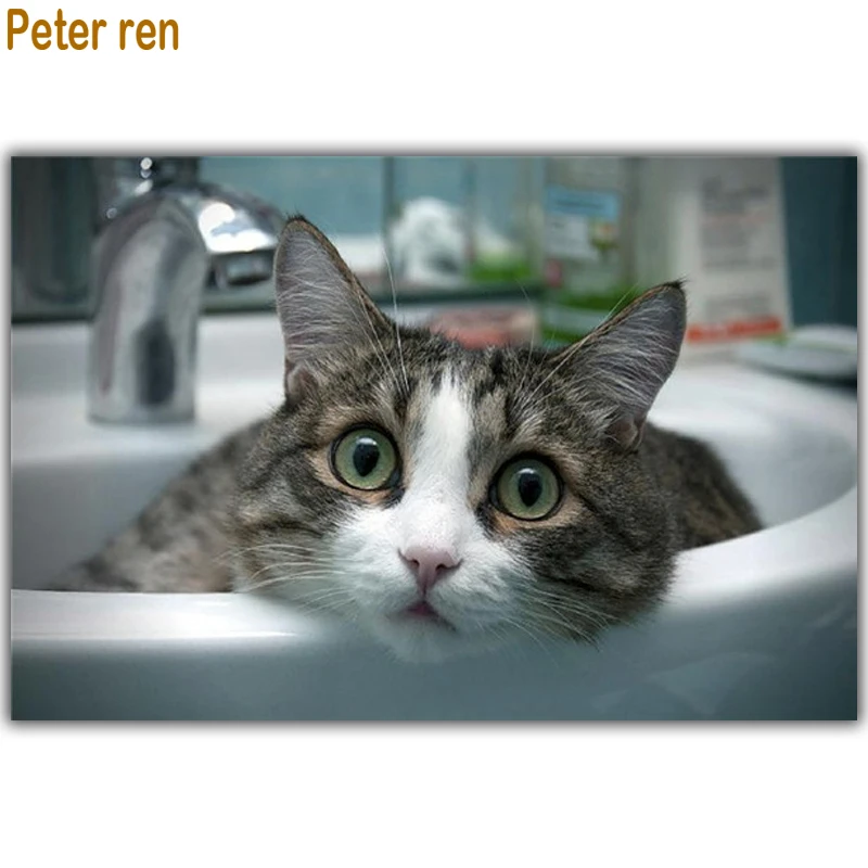 

Peter ren Diamond painting Modular pictures by numbers cat 5d Round \ Square drill Mosaic icon Full embroidery "Kitten bathing "