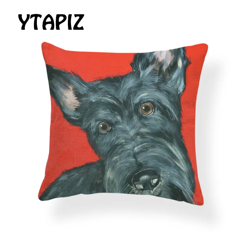 AB9166 (4) Scottish terrier