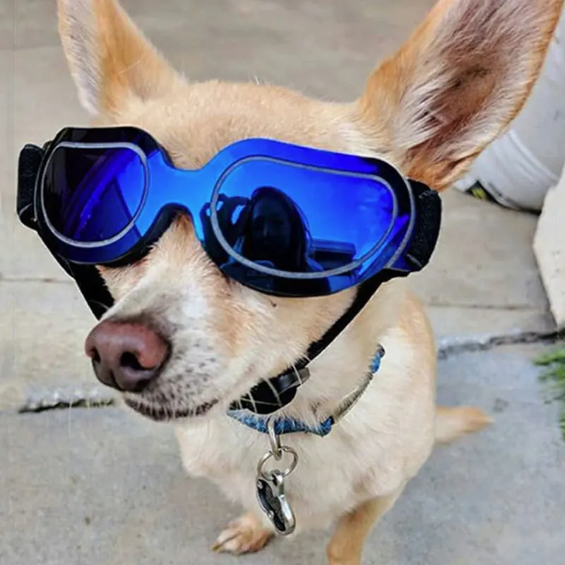 Novel Pet Dog Glasses Elastic Adjustable Band Puppy Sunglasses for