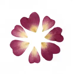 DoreenBeads Настоящее сухих цветов Смола ювелирные изделия DIY Создание розы фуксия Сердце 19 x18mm-16x11 мм, 1 пакет (20 шт./пакет)