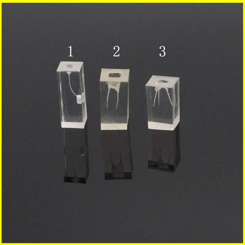 Dental-School-Resin-Endodontic-Student-Study-Teaching-Practice-_57 (1)