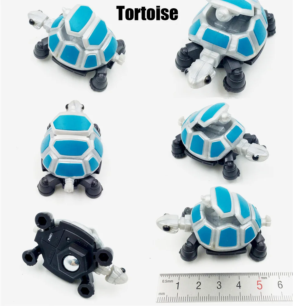 Tortoise 02