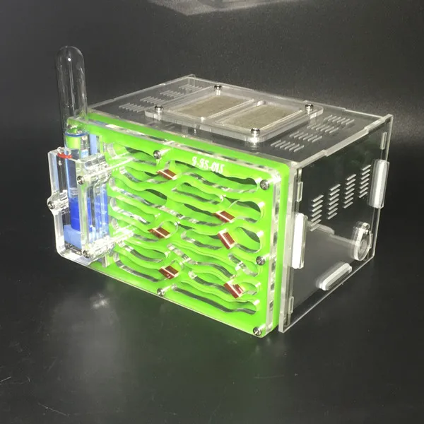 Ant-city-fs-01 (6)