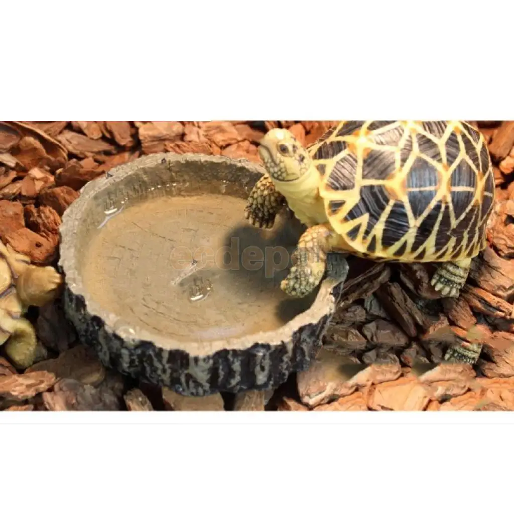 Reptile Bowl Food Water Dish Bearded Dragon Gecko Morio Meal Worm