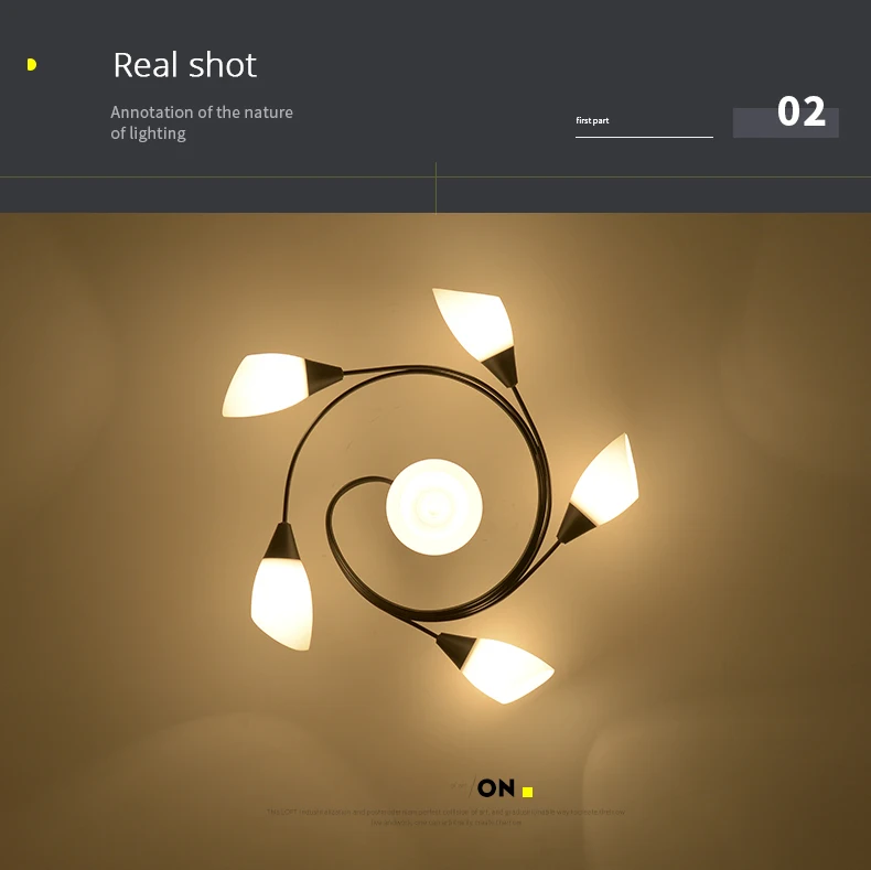 DX Sphere Flower  Led Chandelier (5)