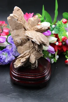 

Kekexili rare + + + Various natural desert rose furnishing articles, the family decorates a + + + + base