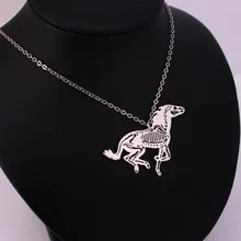 Hzew лошадь Скелет Кулон ожерелье ожерелья с лошадьми ветеринар подарок