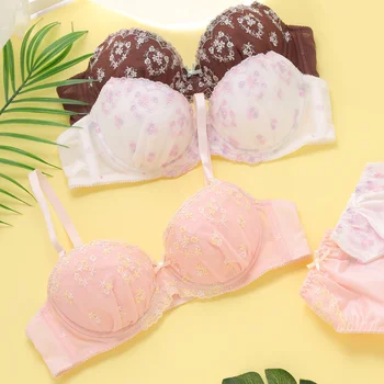 

Hot Sale Sexy Lace Women Straps Bra Underwear Set Embroidery Elegant Brassiere Sexy Hollow Out Bralette Push Up baizihua