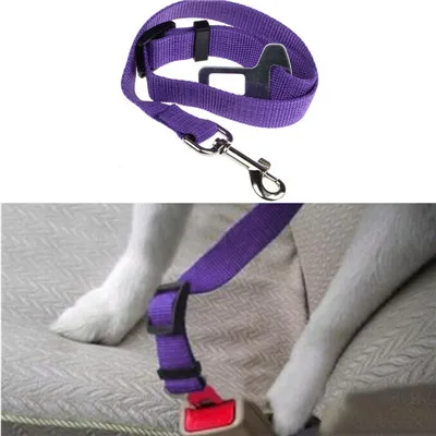 Ошейник для собак, ремень безопасности для маленьких собак, нейлоновый поводок, поводок, ремень, Мода, товары для животных, аксессуары - Цвет: Purple
