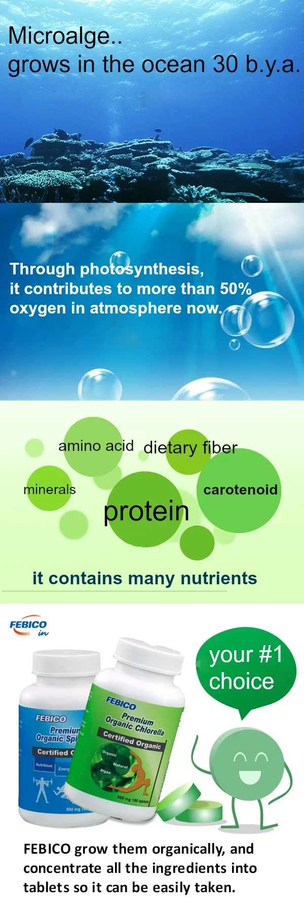 Febico Taiwan Spirulina organik & organik tablet chlorella ...
