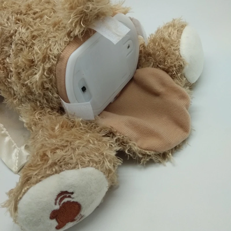 Peek a Boo Teddy Bear Toy