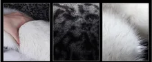HTB1F9sYNFXXXXcDXFXXq6xXFXXXf