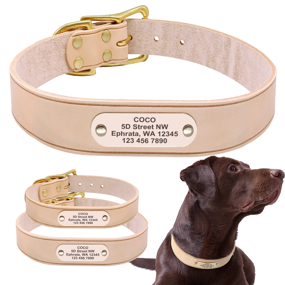 soft personalized dog collars