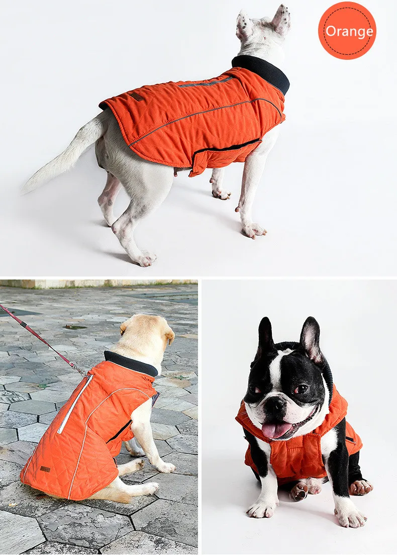 dog snow coats