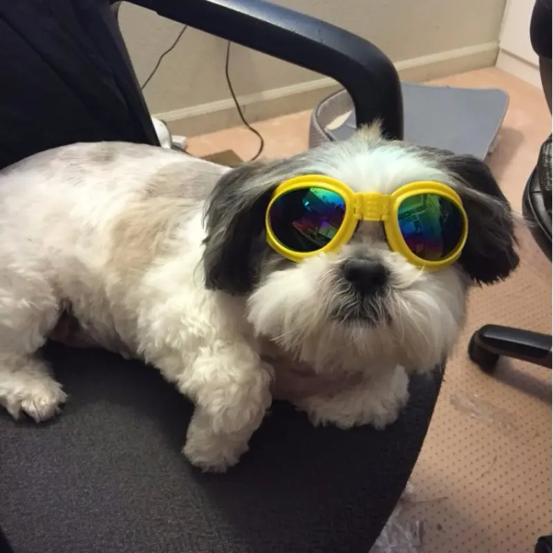 Очки для собаки модные солнцезащитные очки для собаки очки собаки УФ-защитой солнцезащитные очки