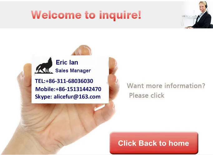 Contact Us-04.jpg