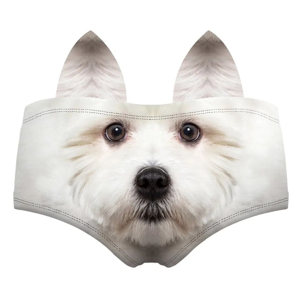 55120 white terrier wiz back