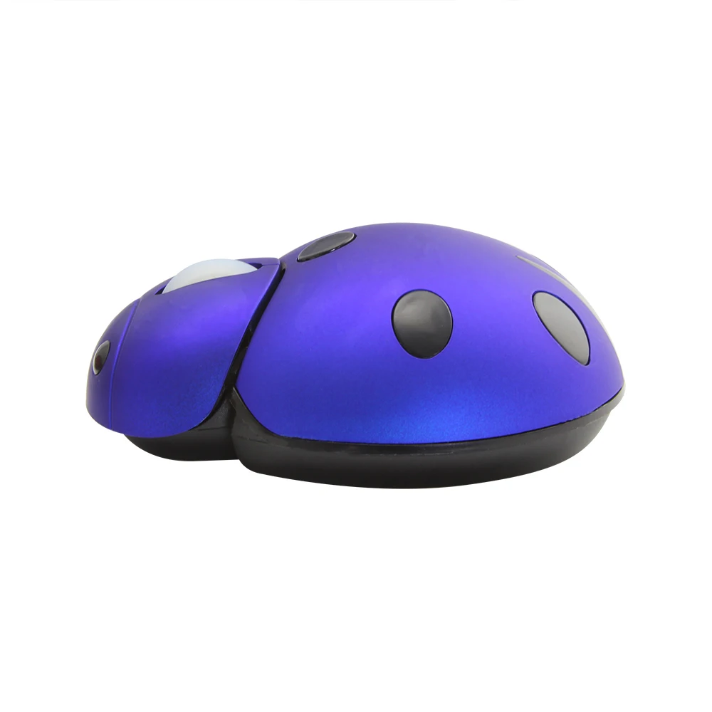 computer mouse