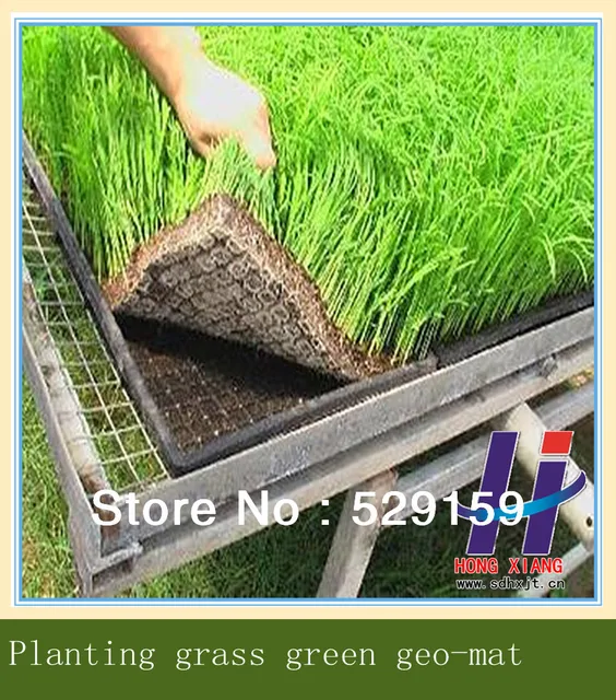 greening geo blanket for grass planting and slope protectionin Garden Buildings from Home