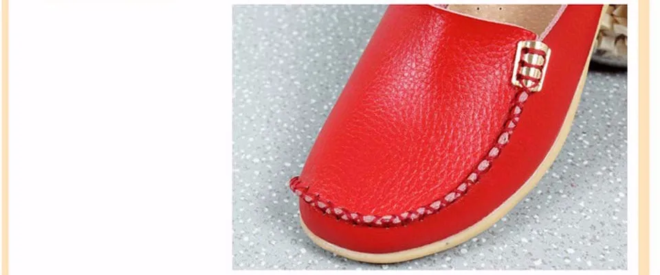 HTB1WT4YLpXXXXaHaXXXq6xXFXXXR